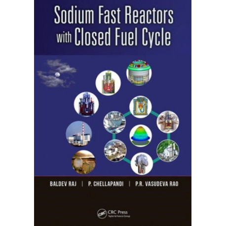 Sodium Fast Reactors with Closed Fuel Cycle