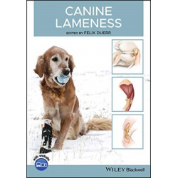 Canine Lameness