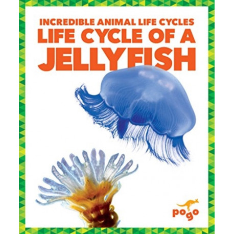 Life Cycle of a Jellyfish