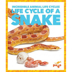 Life Cycle of a Snake