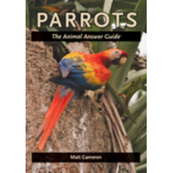 Parrots: The Animal Answer Guide