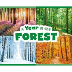 A Year in the Forest