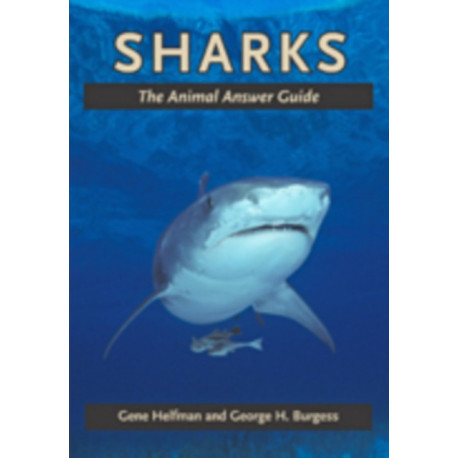 Sharks: The Animal Answer Guide