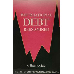 International Debt Reexamined