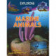 Marine Animals