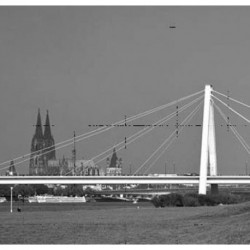 Rhine Bridges