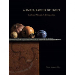 A Small Radius of Light: G. Daniel Massad, A Retrospective