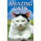 Amazing Cats: Stories of Intuition, Compassion, Mystery & Extraordinary Feats