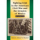 Fighting Irish in the American Civil War and the Invasion of Mexico: Essays