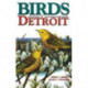Birds of Detroit