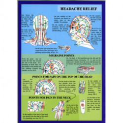 Acupuncture for the Head -- A4