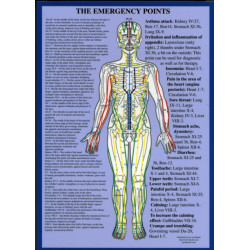 Alarm Points / Emergency Points -- A4