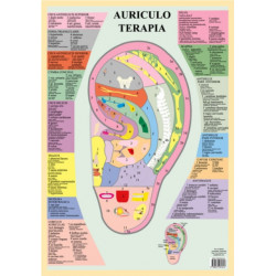 Auriculo Terapia -- A2