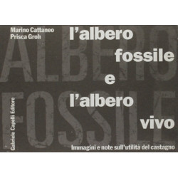 Albero Fossile E L'Albero Vivo