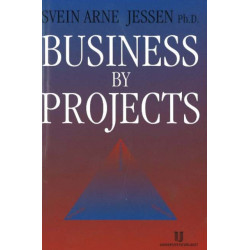 Business by Projects