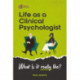 Life as a clinical psychologist: What is it really like?