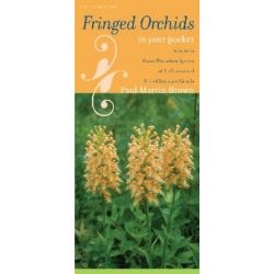 Fringed Orchids in Your Pocket: A Guide to Native Platanthera Species of the Continental United States and Canada