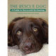 The Rescue Dog: A Guide to Successful Re-homing