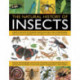 Natural History of Insects