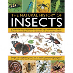 Natural History of Insects