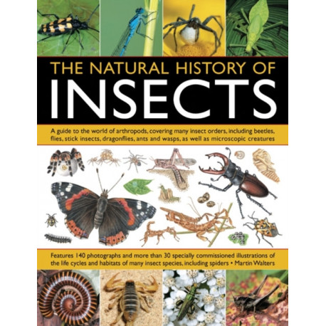 Natural History of Insects
