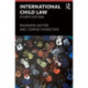 International Child Law