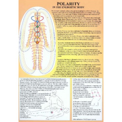 Polarity in the Energetic Body -- A4