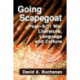 Going Scapegoat: Post-9/11 War Literature, Language and Culture