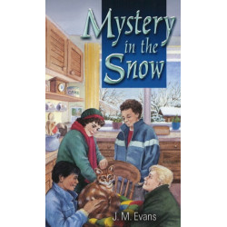 Mystery in the Snow