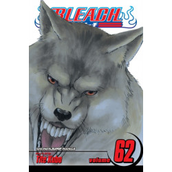 Bleach, Vol. 62: Heart of Wolf