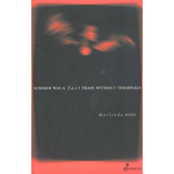 Summer was a Fast Train without Terminals