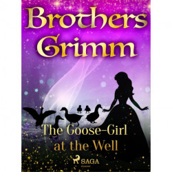 The Goose-Girl at the Well
