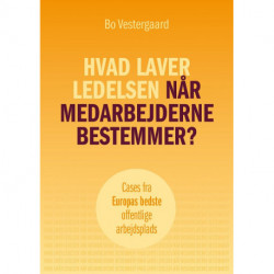 Hvad laver ledelsen når medarbejderne bestemmer?: Cases fra Europas bedste offentlige arbejdsplads