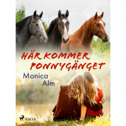 Här kommer Ponnygänget