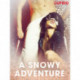 A Snowy Adventure