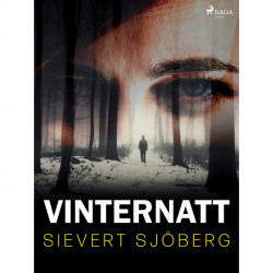 Vinternatt