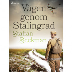 Vägen genom Stalingrad