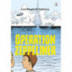 Operation zeppeliner