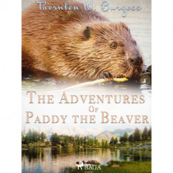 The Adventures of Paddy the Beaver