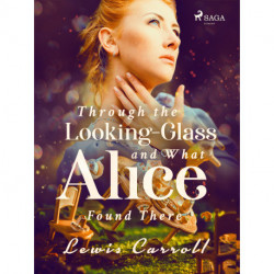 Through the Looking-Glass and What Alice Found There