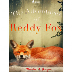 The Adventures of Reddy Fox