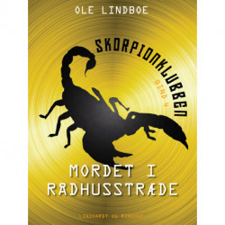 Mordet i Rådhusstræde