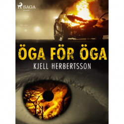 Öga för öga