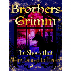 The Shoes that Were Danced to Pieces