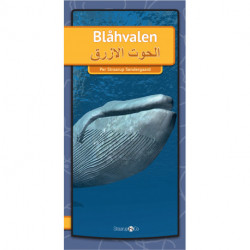 Blåhvalen (Arabisk)