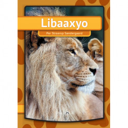 Libaaxyo