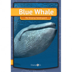 Blue Whale