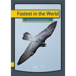 Fastest in the World