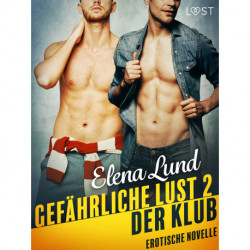 Gefährliche Lust II: Der Klub - Erotische Novelle