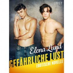 Gefährliche Lust - Erotische Novelle